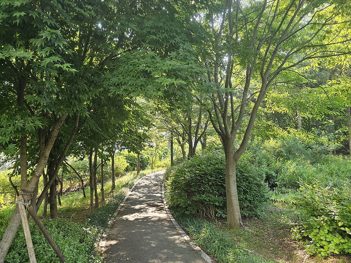 a281584cd58ab0808c6036f6e56f0125_1785849276_7828.jpg a281584cd58ab0808c6036f6e56f0125_1785849276_7828.jpg